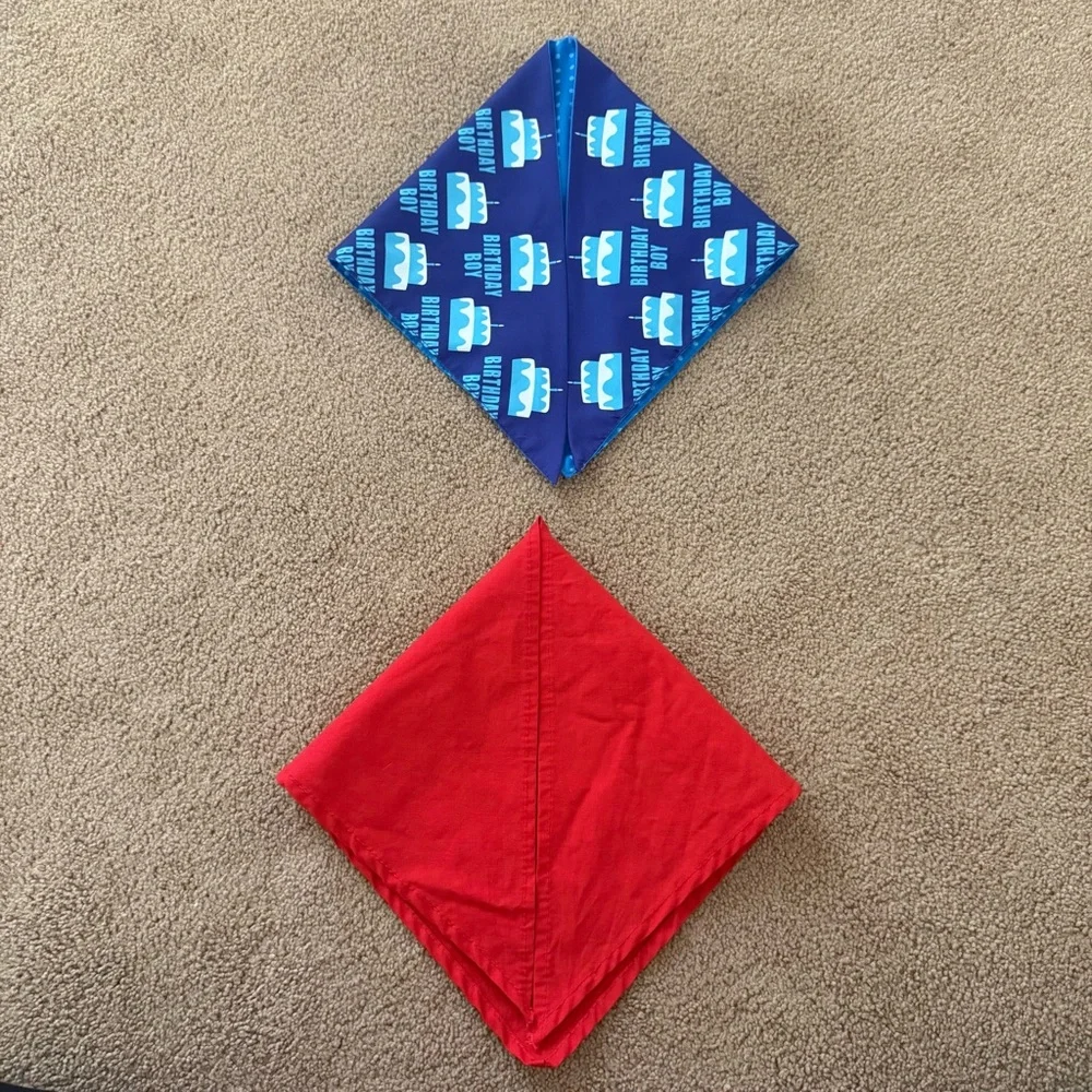 Birthday Dog Bandanas Set